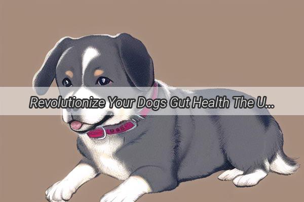 Revolutionize Your Dogs Gut Health The Ultimate Guide to TopTier Doggy TummyFriendly Foods